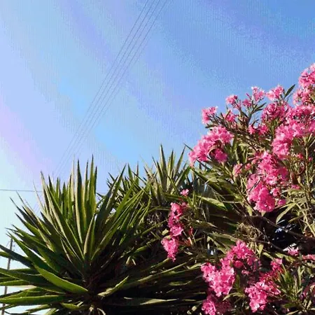 Blue Sky *
